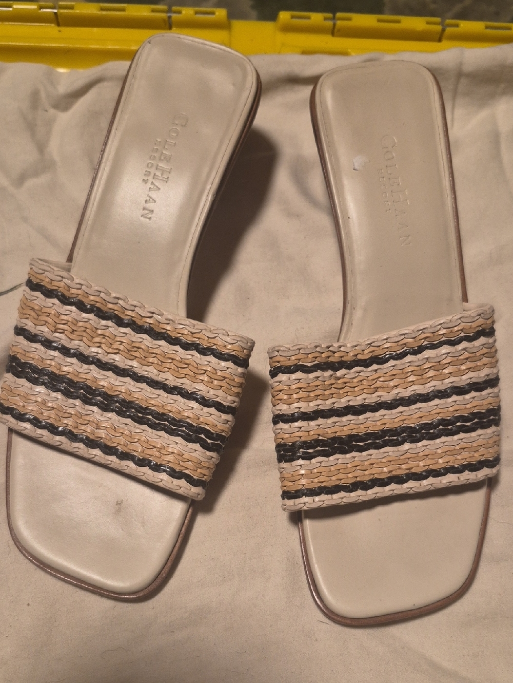 Cole Haan Beige and Black Woven Slide Sandals